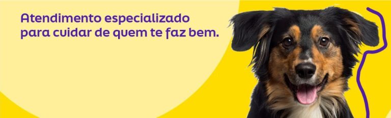 Vaga Híbrida em São Paulo: Assistente Comercial na +Pet